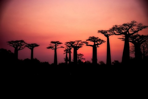 Viatjar a Madagascar