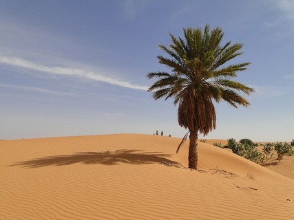 Viajar a Mauritania