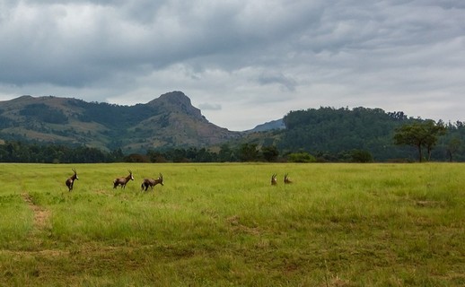 Viatjar a Swazilàndia