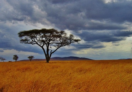 Viatjar a Tanzània