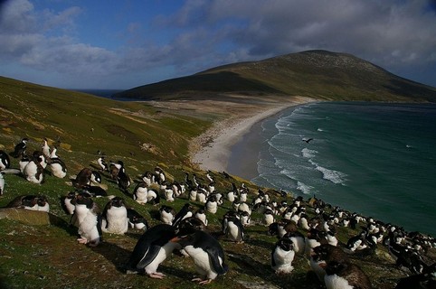 Viatjar a les Illes Falkland (Malvines)